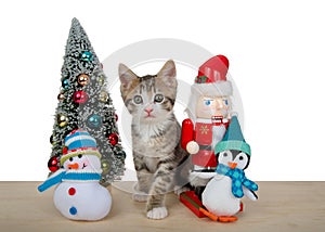 Tabby kitten peeking around tiny christmas tree and decorations