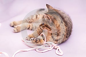 A tabby kitten is playing with a long pink string.