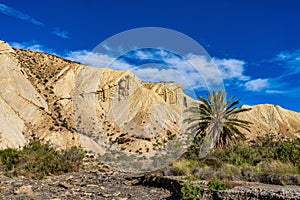 Tabernas desert, Desierto de Tabernas near Almeria, andalusia region, Spain photo