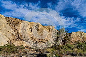 Tabernas desert, Desierto de Tabernas near Almeria, andalusia region, Spain photo