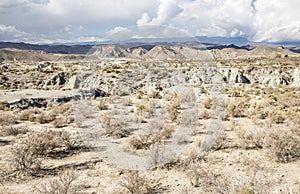 Tabernas desert dry landscape, Almeria, Spain photo