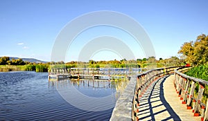 Tablas de Daimiel National Park, Castilla la Mancha, Spain