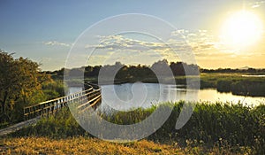 Tablas de Daimiel National Park at sunset, Ciudad Real province, Castilla la Mancha, Spain