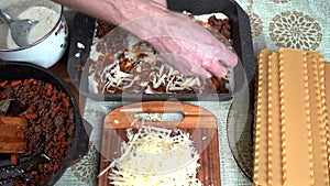 on the table are all the ingredients for cooking Italian lasagna. parmesan cheese is sprinkled on top of freshly