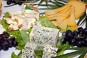 Table of assorted cheeses