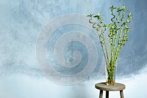 Table with bamboo plant in glass vase near color wall