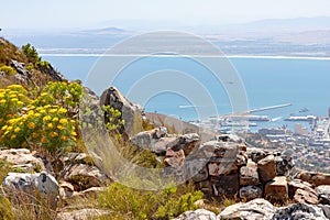 Table Bay and Cape Town harbour photographed from near Lions Head in Cape Town, South Africa photo
