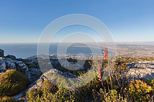Table Bay from Table Mountain