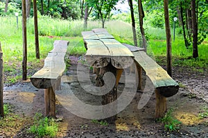Table and benches made of logs in the park