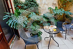 Table with breakfast plates in small green courtyard of historical house in Mediterranian region. Romantic holidays photo