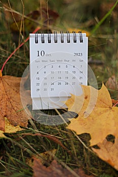 table calendar concept and copy space. October 2023 monthly calendar by maple leaves nature background