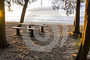 Table and chair on the beach. and pine trees on the beach