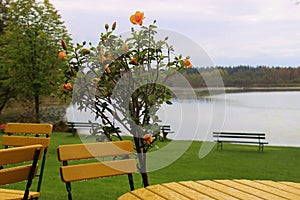 Table and chairs on the Lido of Ibm lake, or Heratinger lake, in Upper Austria, in autumn.