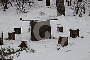 Table and chairs made of tree stumps in the forest
