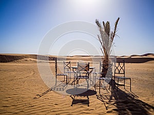 Table, chairs and a small exotic tree in the Sahara Desert