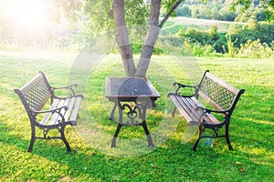 Table and chairs at summer green garden