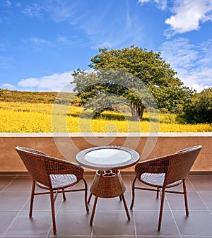 Table and chairs on a terrace, view on a field with flowers and tree