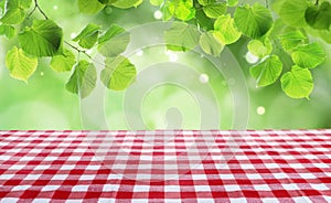 Table with checkered picnic cloth outdoors on sunny day. Space for design