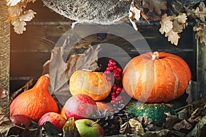 A table decorated with pumpkins, Harvest Festival,Happy Thanksgiving.