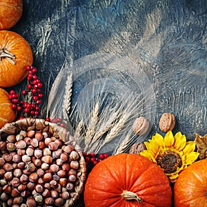 Table decorated with pumpkins and . Harvest Festival,Happy Thanksgiving.