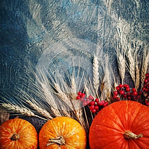 A table decorated with pumpkins, Harvest Festival,Happy Thanksgiving.
