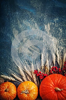 A table decorated with pumpkins, Harvest Festival,Happy Thanksgiving.