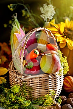 The table, decorated with vegetables and fruits. Harvest Festival. Happy Thanksgiving. Autumn background. Selective