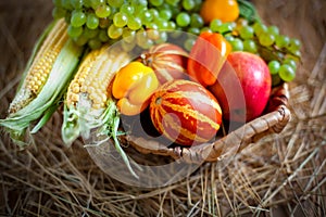 The table, decorated with vegetables and fruits. Harvest Festival. Happy Thanksgiving. Autumn background. Selective