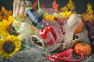 The table, decorated with vegetables, pumpkins and fruits. Harvest Festival,Happy Thanksgiving. Autumn background