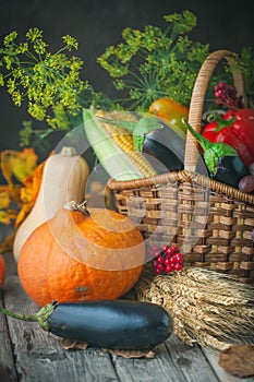 The table, decorated with vegetables, pumpkins and fruits. Harvest Festival,Happy Thanksgiving. Autumn background