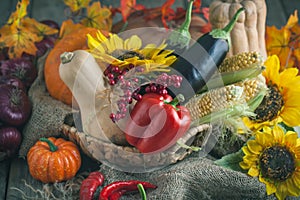 The table, decorated with vegetables, pumpkins and fruits. Harvest Festival,Happy Thanksgiving. Autumn background