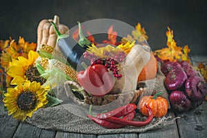 The table, decorated with vegetables, pumpkins and fruits. Harvest Festival, Happy Thanksgiving. Autumn background