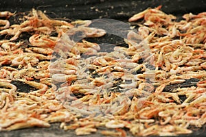 Table with dried shrimp in local village, Ream National Park, Ca