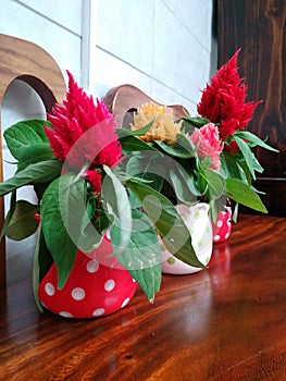 Table flower pots photo