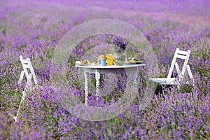 Table with food and two chairs in lavender field.