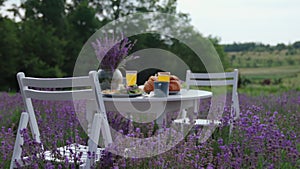 Table with food and two chairs in lavender field.