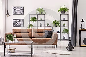 Table in front of leather sofa in white apartment interior with lamp, posters and plants. Real photo