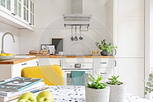 Table with fruit, plants and magazines in a bright kitchen interior. Cupboards in the background. Real photo