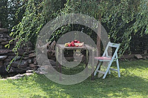 Table with fruits and a chair under the tree in the garden