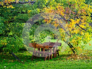 Table In The Garden