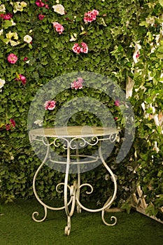 Table in a garden