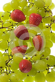 Table grapes and strawberries