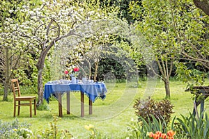 Table laid with blue earthenware in a beautiful garden