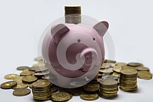 Pink piggy Bank. Symbol of new year 2019