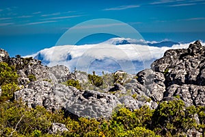 Table mountain in cape town