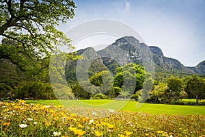 Table Mountain Cape Town, South Africa