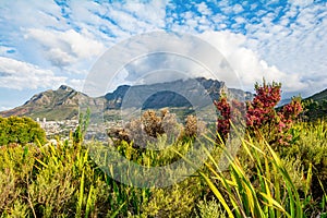 Table Mountain in Cape Town South Africa