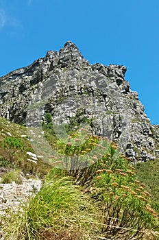 Table Mountain Hiking