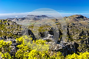 Table Mountain National Park, South Africa