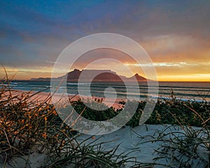 Table Mountain Sunset With Fynbos